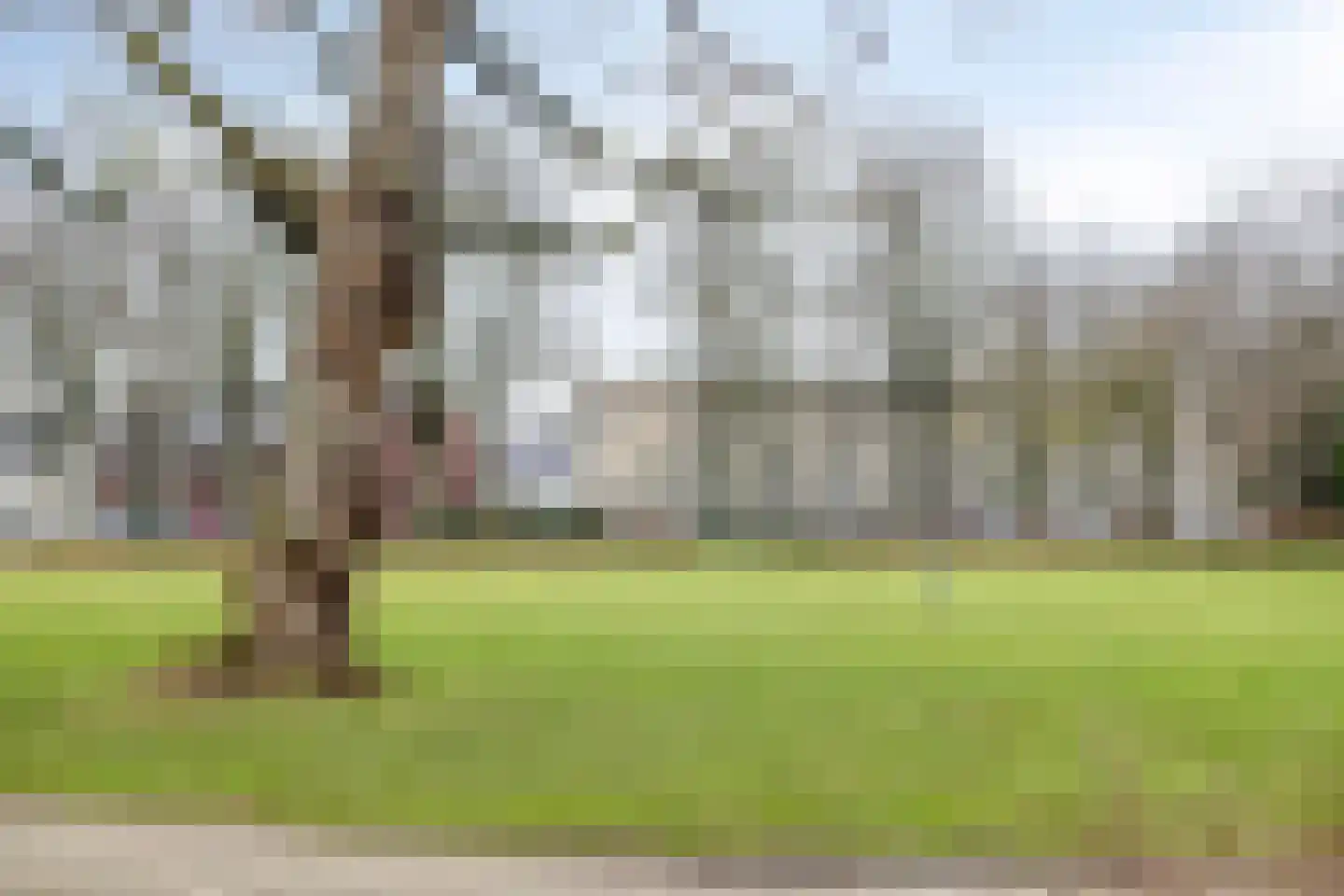 de Greide 59 Eindhoven thumbnail 46