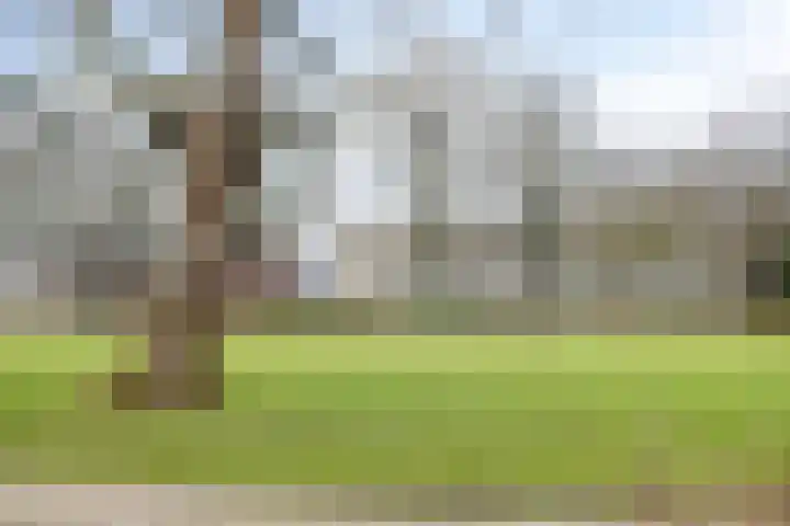 de Greide 59 Eindhoven thumbnail 46