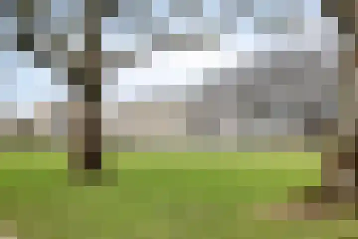 de Greide 59 Eindhoven thumbnail 47
