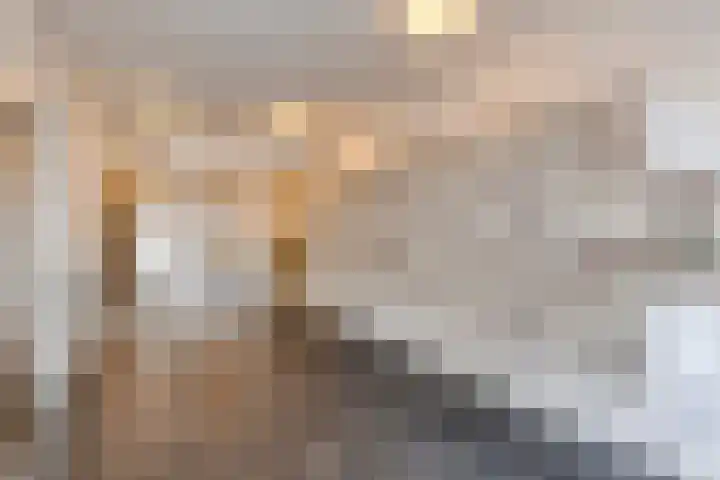 de Greide 59 Eindhoven thumbnail 8