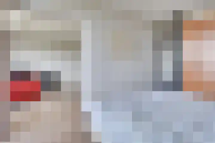 de Greide 60 Eindhoven thumbnail 16