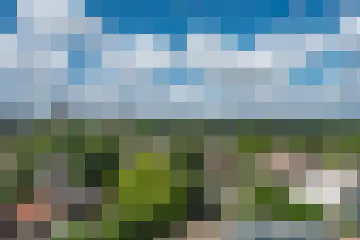 de Greide 60 Eindhoven thumbnail 21