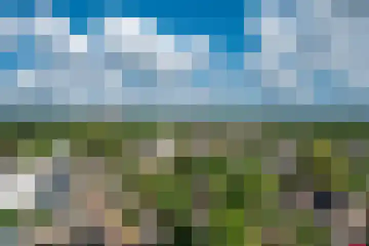 de Greide 60 Eindhoven thumbnail 23