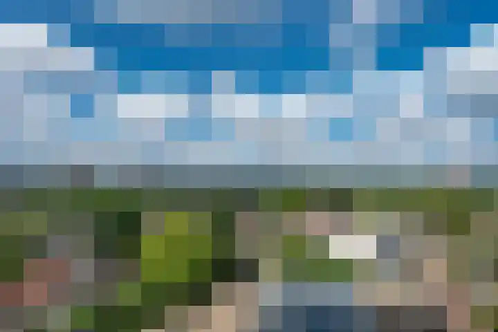 de Greide 60 Eindhoven thumbnail 24