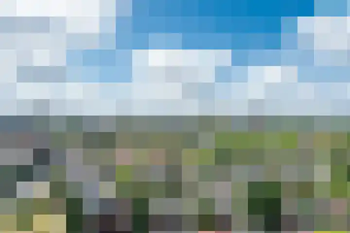 de Greide 60 Eindhoven thumbnail 30