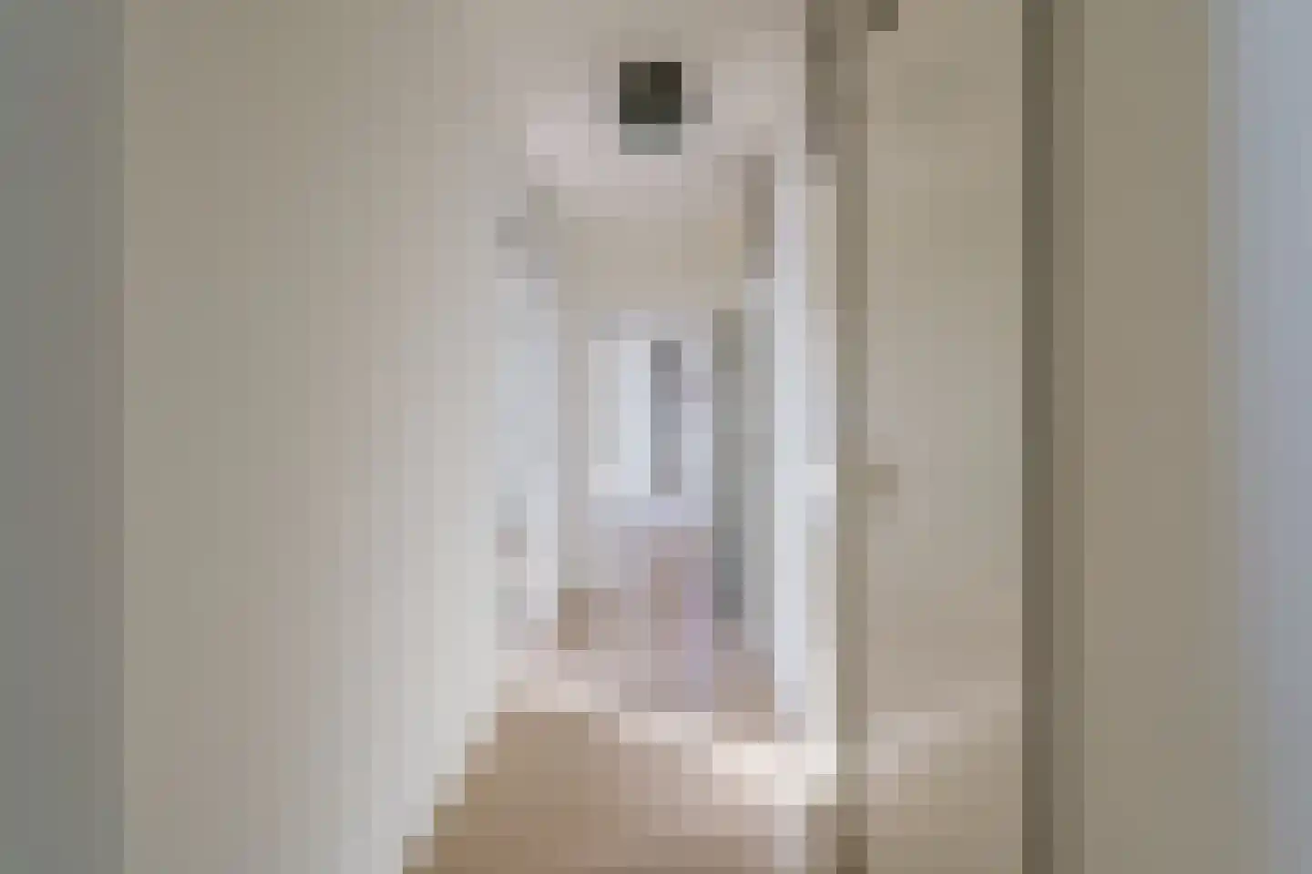 de Greide 61 Eindhoven thumbnail 11