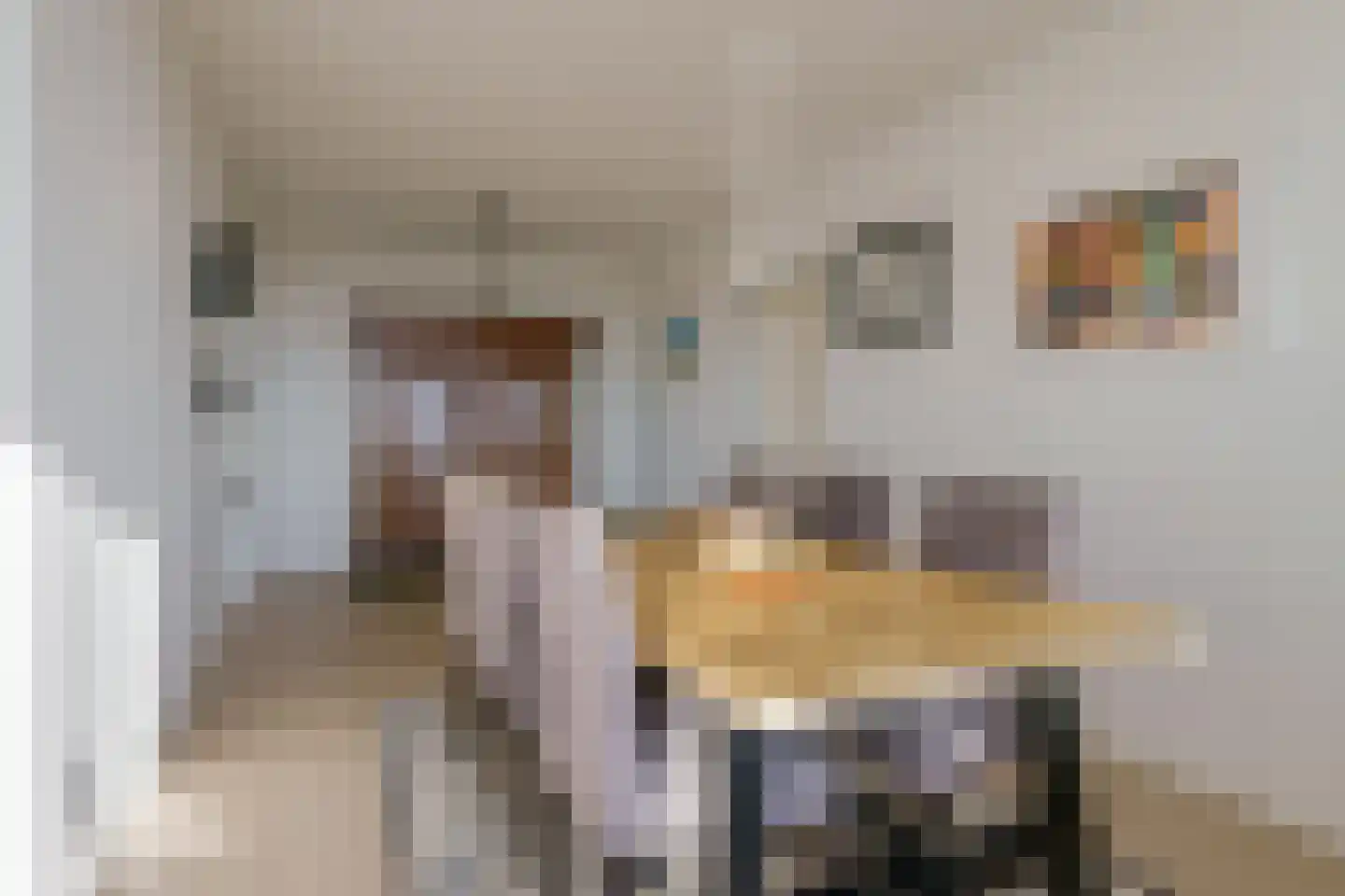de Greide 61 Eindhoven thumbnail 35