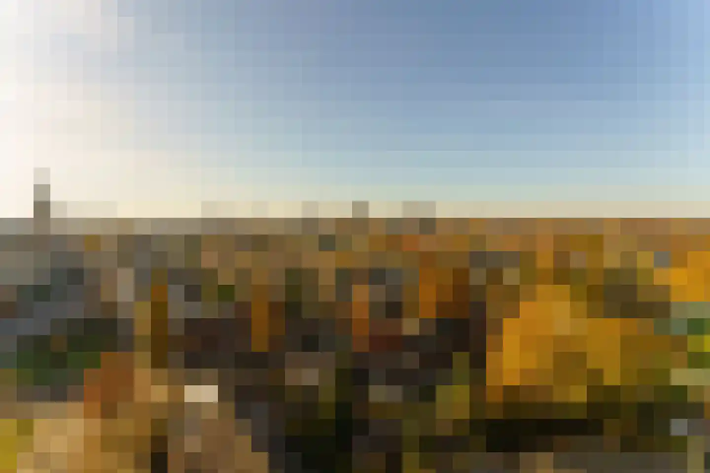 de Greide 61 Eindhoven thumbnail 37