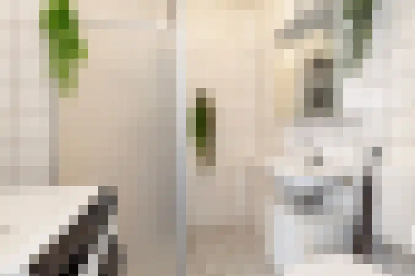 de Greide 63 Eindhoven thumbnail 26