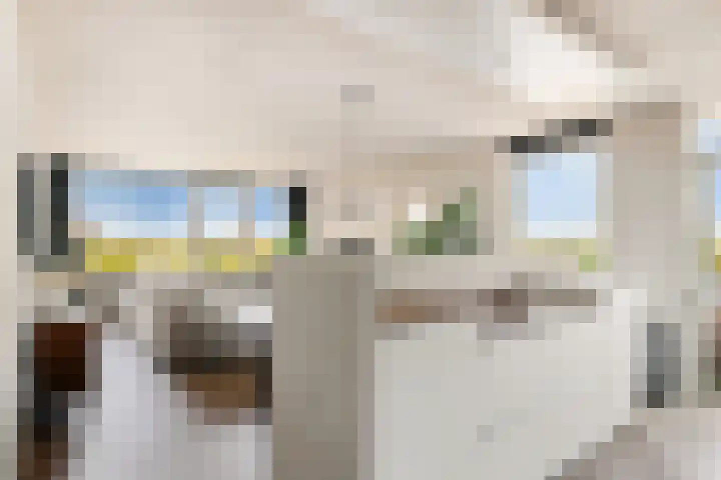 de Greide 71 Eindhoven thumbnail 10