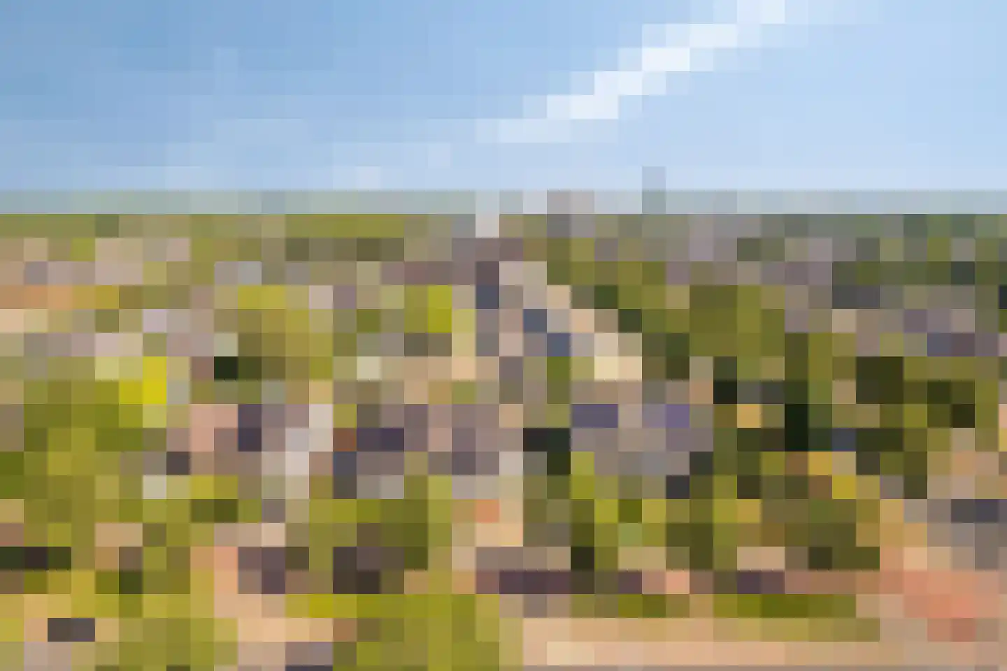 de Greide 71 Eindhoven thumbnail 19