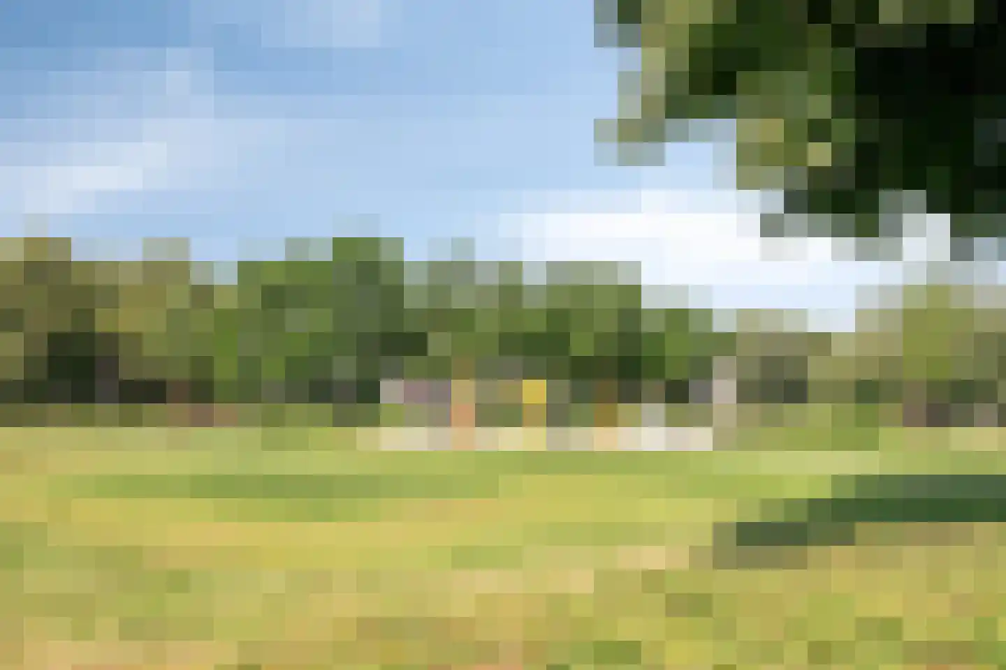 de Greide 71 Eindhoven thumbnail 32