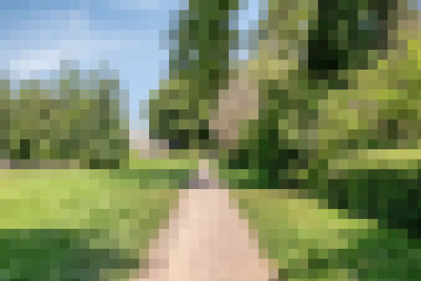 de Greide 71 Eindhoven thumbnail 33