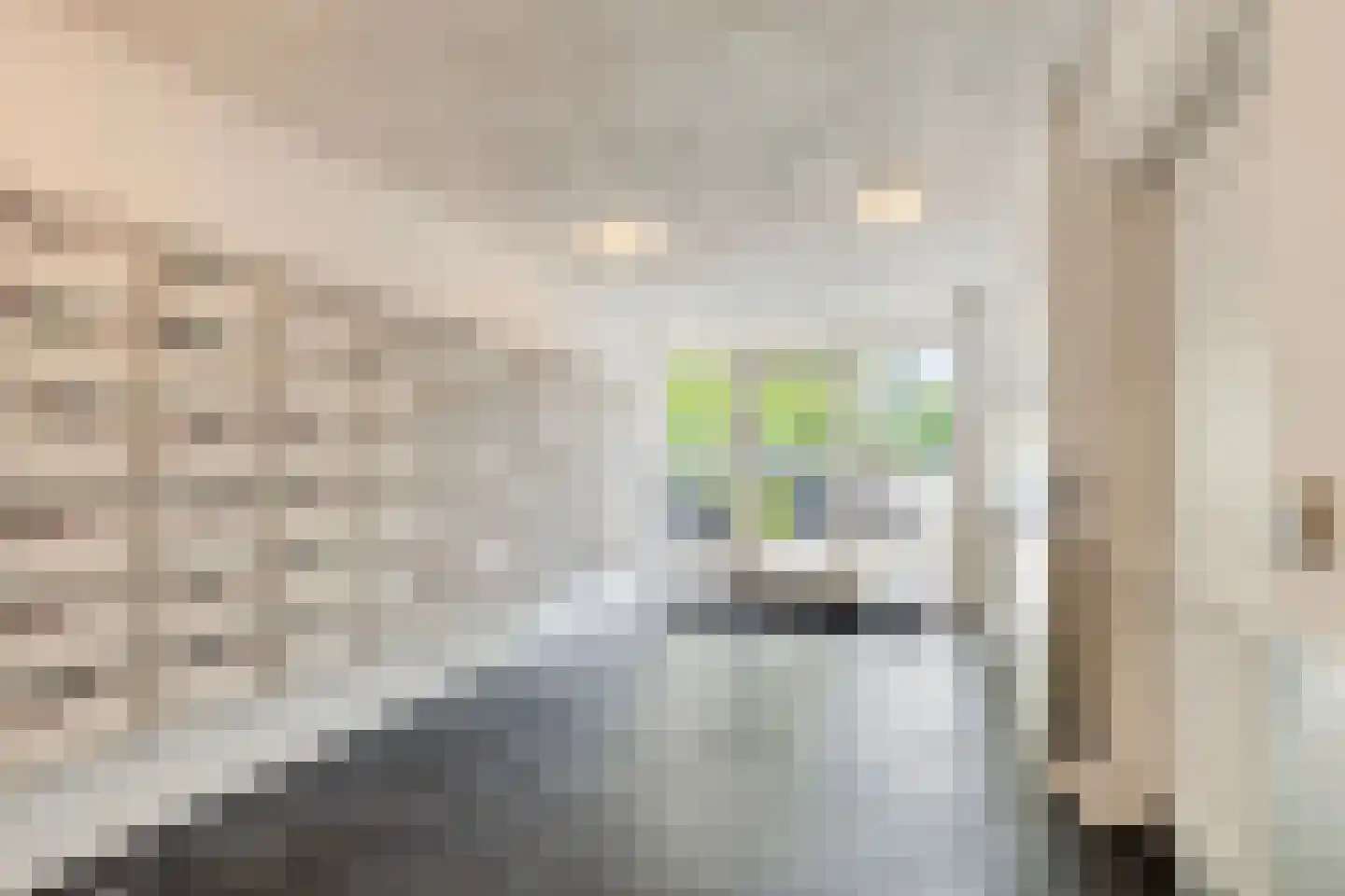 de Greide 81 Eindhoven thumbnail 8