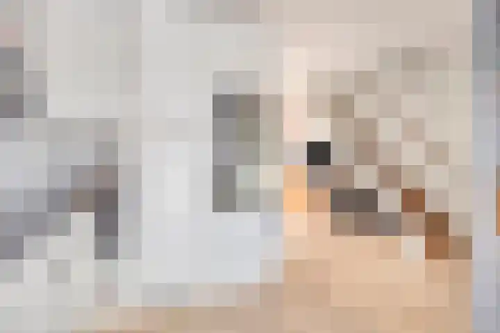 de Greide 83 Eindhoven thumbnail 17