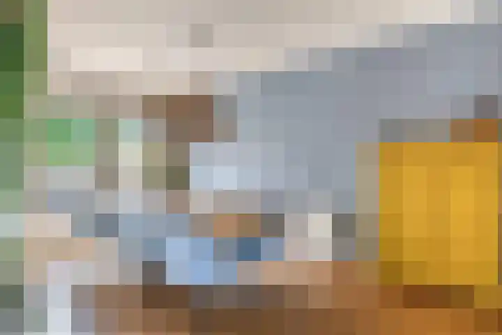 De Greiden 1 Idskenhuizen thumbnail 10