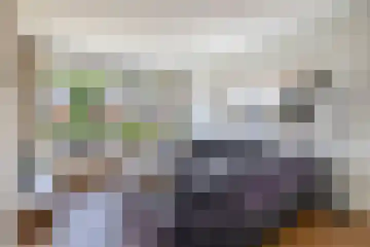 De Greiden 1 Idskenhuizen thumbnail 15