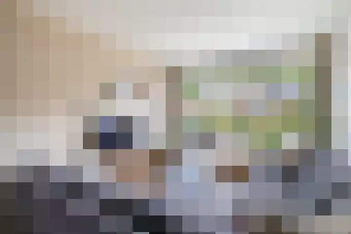 De Greiden 1 Idskenhuizen thumbnail 16