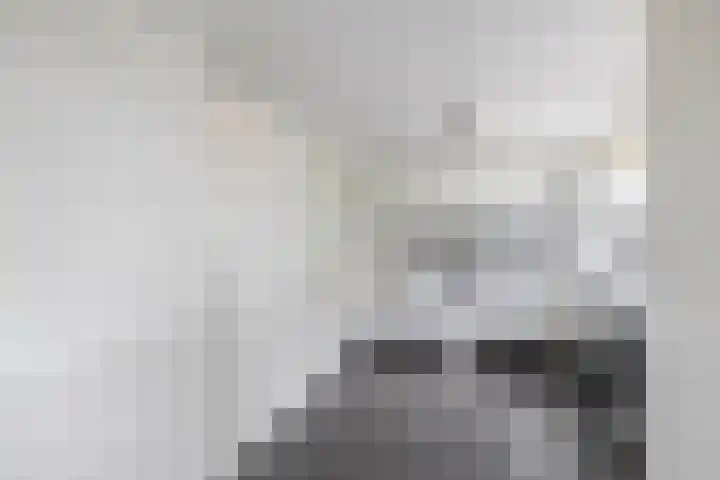 De Greiden 1 Idskenhuizen thumbnail 18