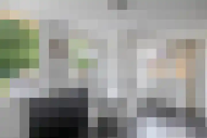 De Greiden 1 Idskenhuizen thumbnail 19