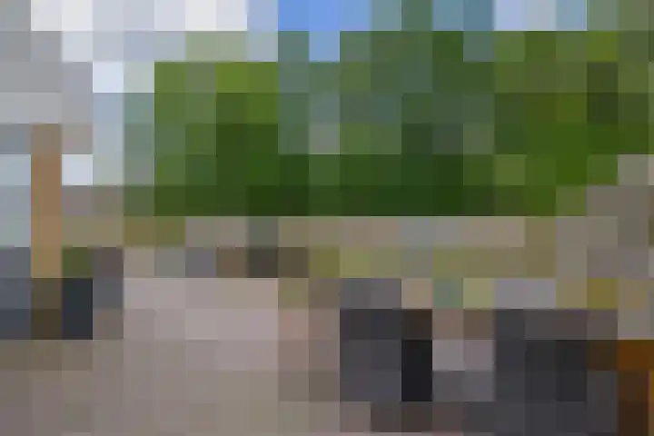 De Greiden 1 Idskenhuizen thumbnail 34