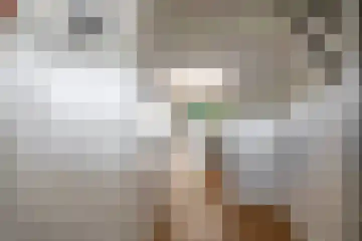 De Greiden 1 Idskenhuizen thumbnail 7