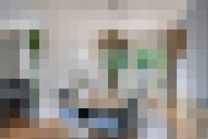 De Greiden 1 Idskenhuizen thumbnail 9