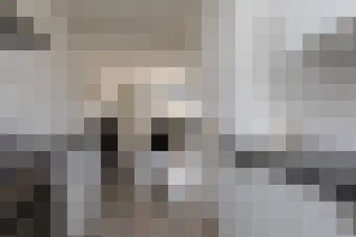 De Greiden 10 Bolsward thumbnail 8