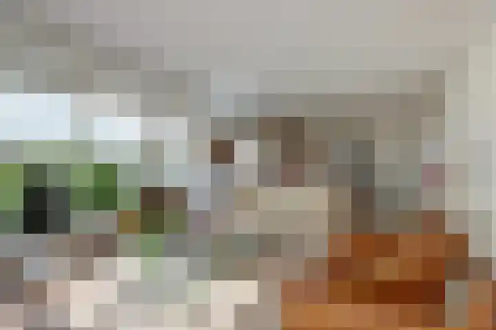De Greiden 104 Indijk thumbnail 11