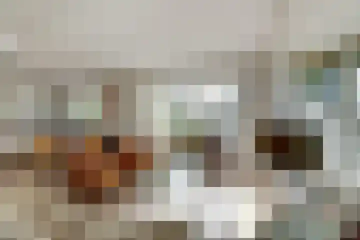 De Greiden 104 Indijk thumbnail 12