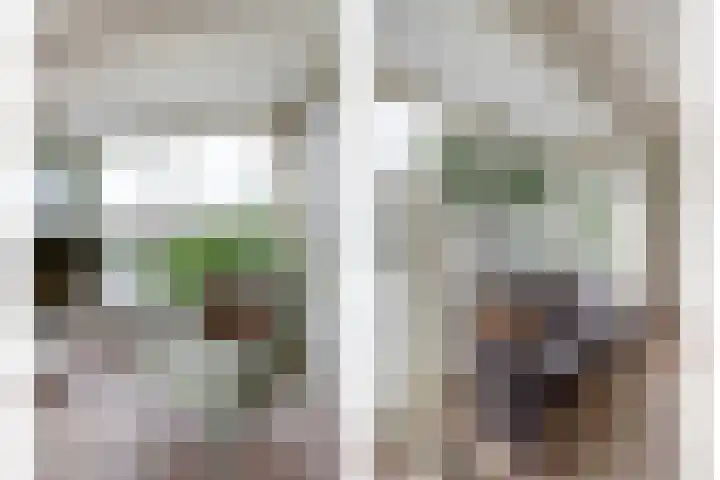 De Greiden 104 Indijk thumbnail 13