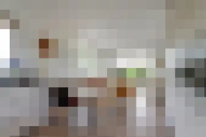 De Greiden 104 Indijk thumbnail 15