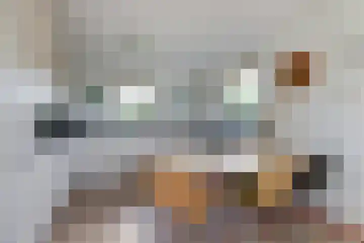 De Greiden 104 Indijk thumbnail 16