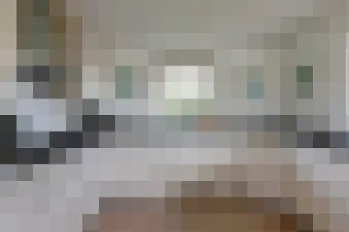 De Greiden 104 Indijk thumbnail 17