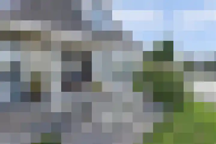 De Greiden 104 Indijk thumbnail 21