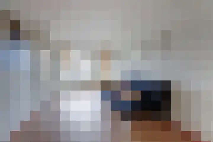 De Greiden 104 Indijk thumbnail 22