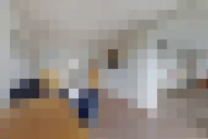 De Greiden 104 Indijk thumbnail 23