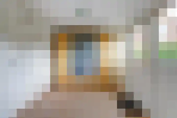 De Greiden 104 Indijk thumbnail 24