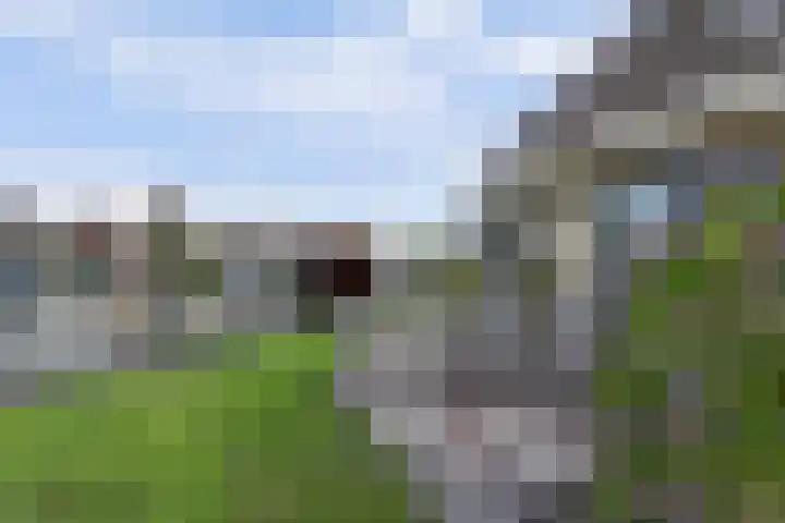 De Greiden 104 Indijk thumbnail 4