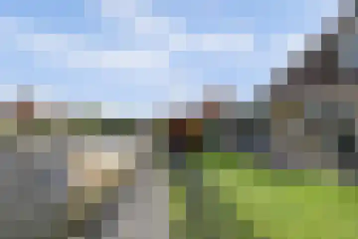 De Greiden 104 Indijk thumbnail 5