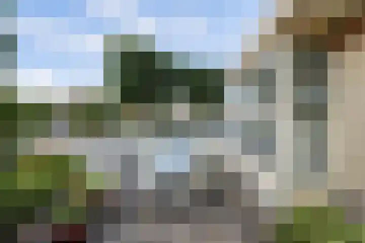 De Greiden 104 Indijk thumbnail 6