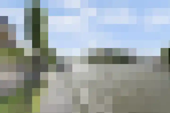 De Greiden 104 Indijk thumbnail 7