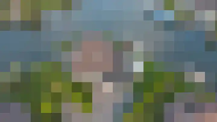 De Greiden 104 Indijk thumbnail 8