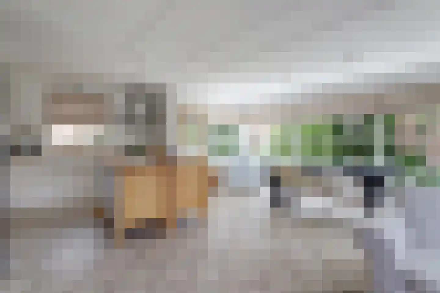De Greiden 106 Indijk thumbnail 10