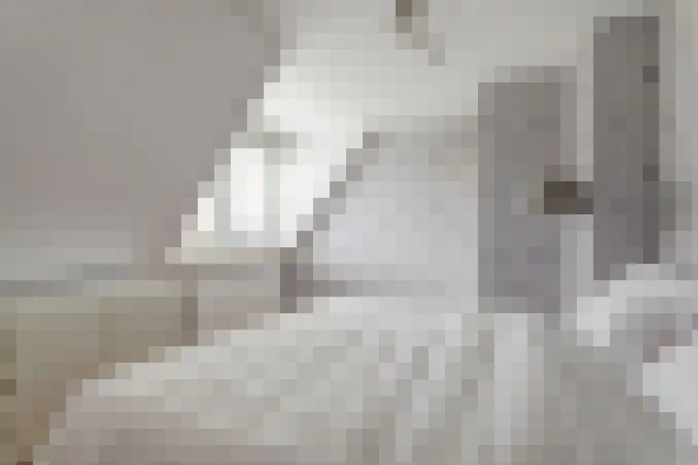 De Greiden 106 Indijk thumbnail 14