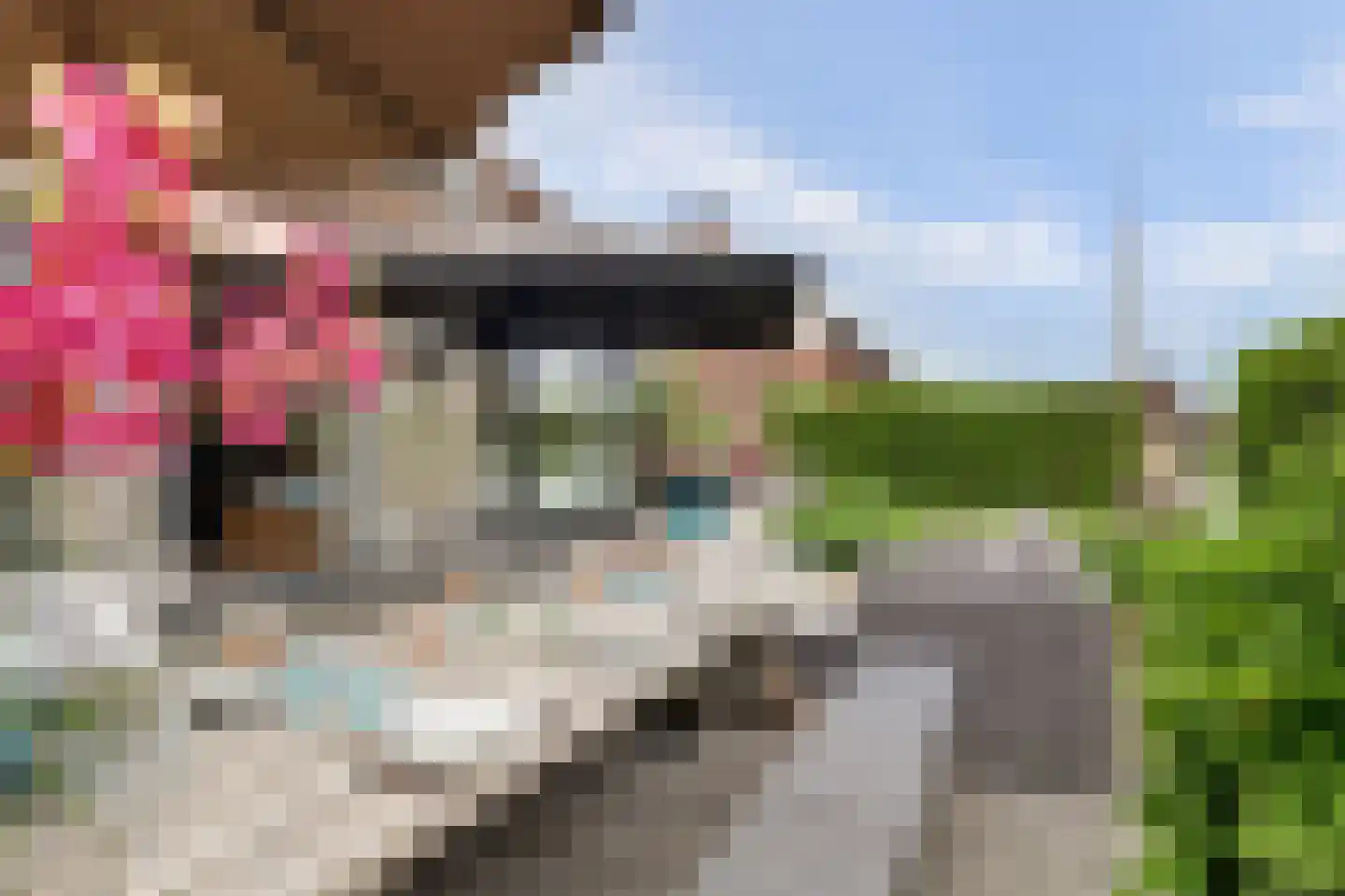 De Greiden 106 Indijk thumbnail 24