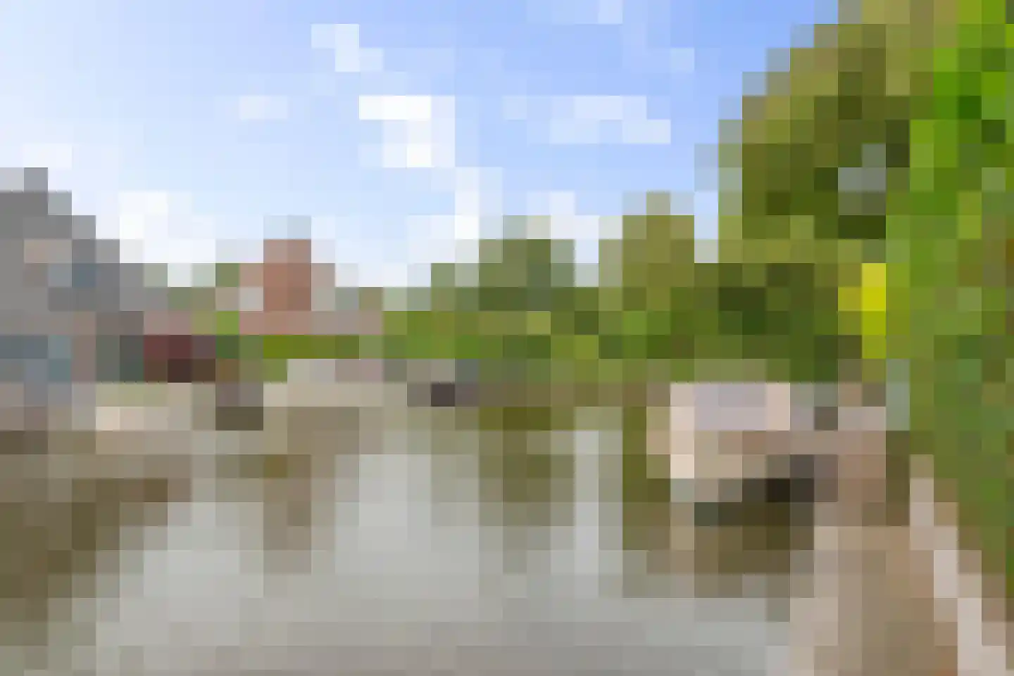 De Greiden 109 Indijk thumbnail 11