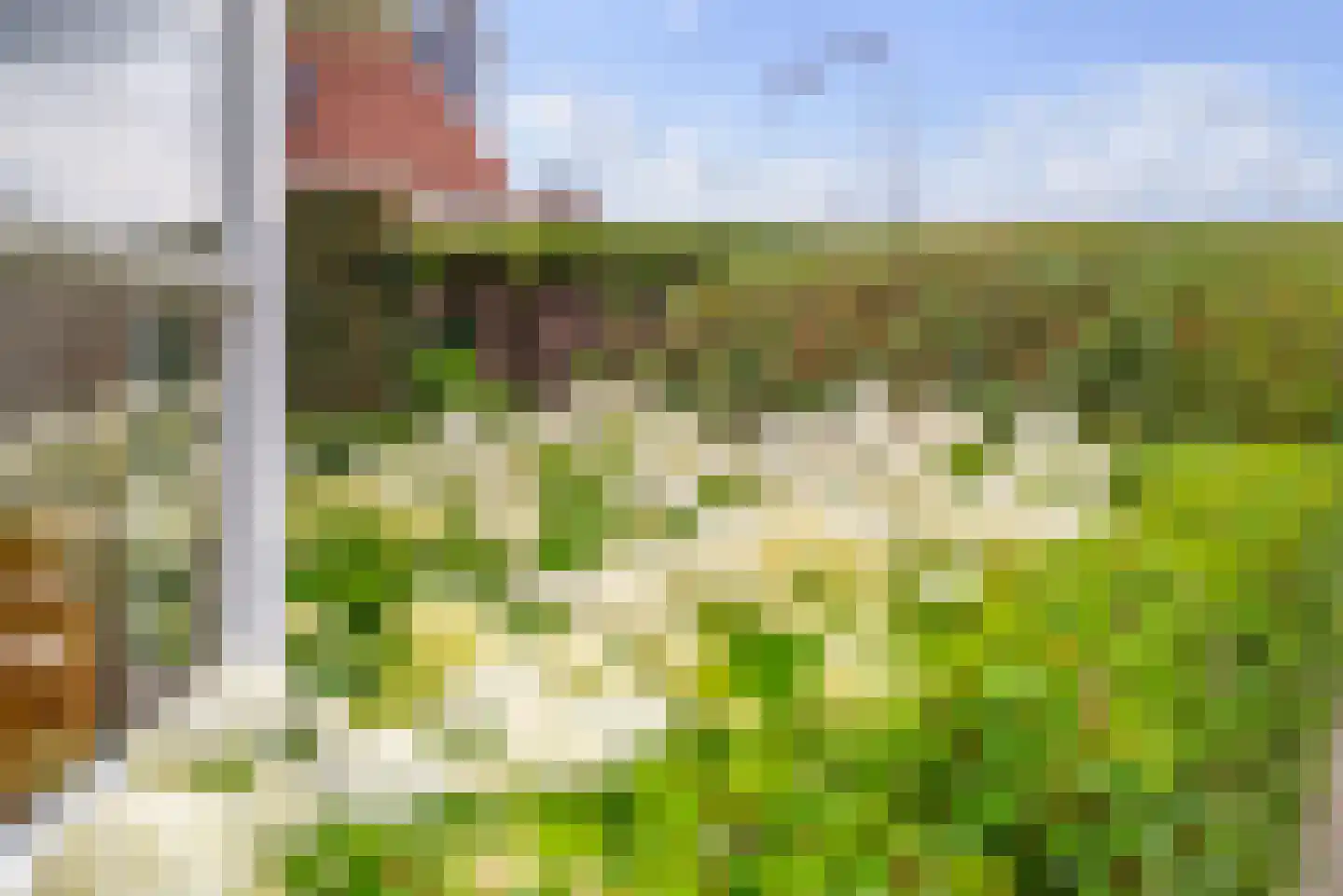 De Greiden 109 Indijk thumbnail 13
