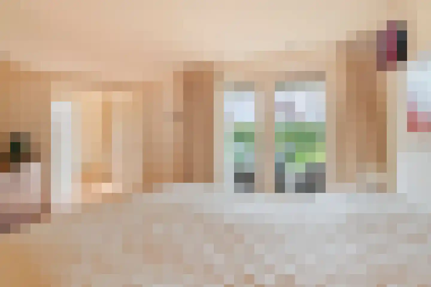 De Greiden 109 Indijk thumbnail 38