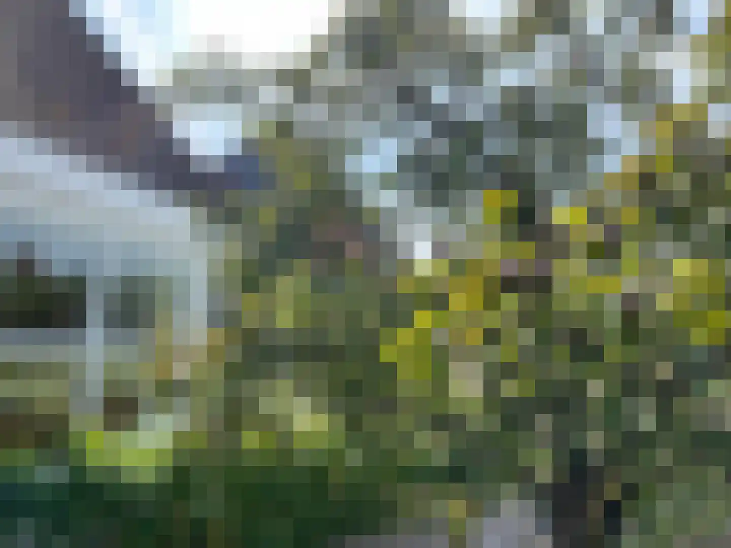 De Greiden 109 Indijk thumbnail 6